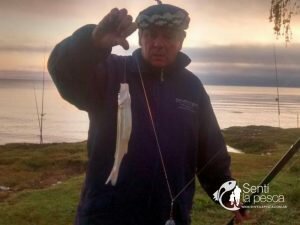 160920 PEJES DE COSTA EN EL RIOPLA6