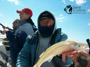160920 PEJES PRIMAVERALES