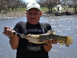 160920 PINCHANDO MOSTROS EN GUALEGUAY7