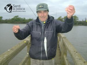 160921 PEJES EN EL ESPIGON DE LA TOMA6