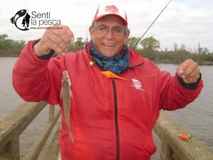 160921 PEJES EN EL ESPIGON DE LA TOMA8