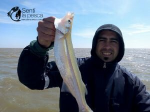 160921 PEJES EN EL RIOPLA ZONA QUILMES3