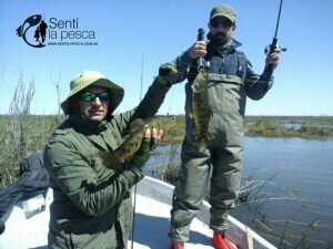 160922 DORADOS Y TARUS EN SAN PEDRO10