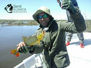 160922 DORADOS Y TARUS EN SAN PEDRO12
