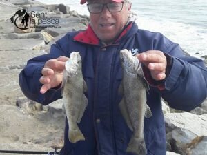 160922 PESCA EN SANTA CLARA1