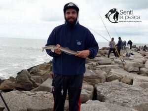 160922 PESCA EN SANTA CLARA8
