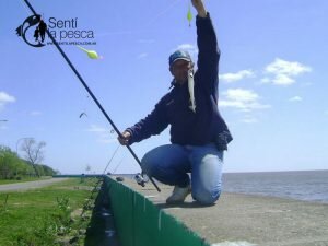 160926 DE COSTA EN PUNTA LARA2