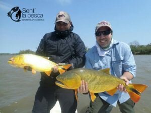 160926 DORADOS DE ESQUINA CTES1