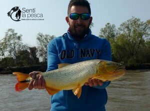 160926 DORADOS DE ESQUINA CTES3