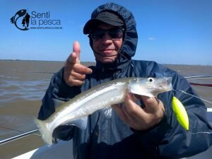 160926 FLECHAS DEL PLATA ZONA QUILMES6