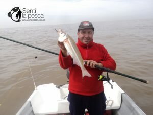 160926 PEJES EN EL RIOPLA NORTE (4)