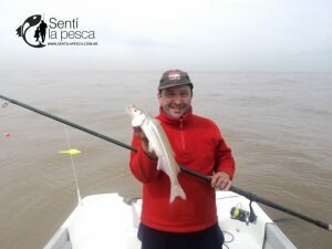 160926 PEJES EN EL RIOPLA NORTE (5)