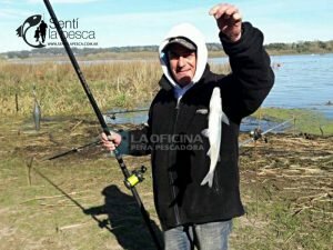160926 PEJES EN LAG DE LOS PADRES