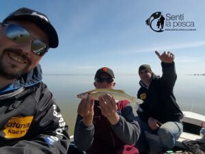 160926 PEJES EN SALADA DE MADARIAGA (15)