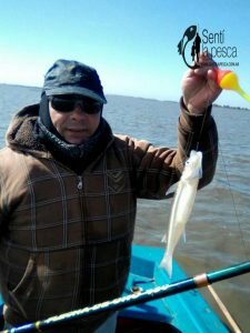 160926 PESCA EN MANANTIALES DE IRIARTE