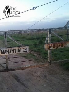 160926 PESCA EN MANANTIALES DE IRIARTE4