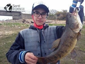 160926 SEÑUELEANDO EN ENTRE RIOS