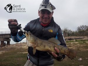 160926 SEÑUELEANDO EN ENTRE RIOS2