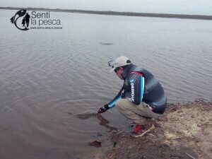 160926 SEÑUELEANDO EN ENTRE RIOS4