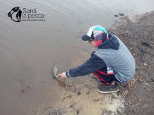 160926 SEÑUELEANDO EN ENTRE RIOS6