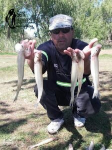 160927 PESCA EN MAGDALENA1