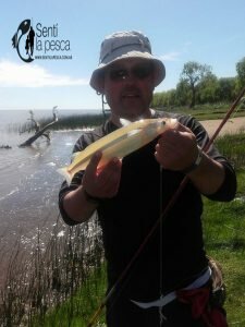 160927 PESCA EN MAGDALENA3