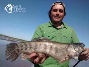 160927 TARULANDIA EN GUALEGUAY4