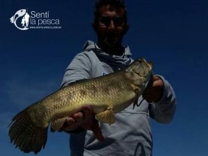 160927 TARULANDIA EN GUALEGUAY8