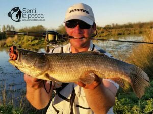 160928 HOPLIAS URUGUAYASe