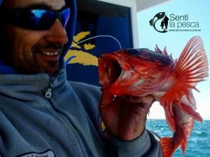 160930 PESCA DE ALTURA MDQ9