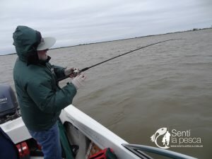 PESCA EN ESQUINA21