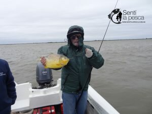 PESCA EN ESQUINA24