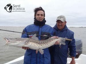 PESCA EN ESQUINA41