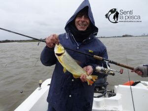 PESCA EN ESQUINA78