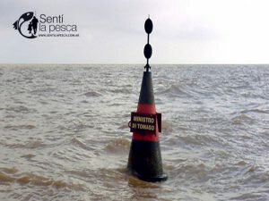 ditomaso peligro
