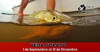 veda dorado dest