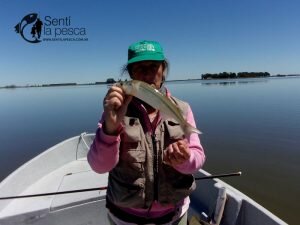 161013 PEJES Y CARPAS EN JUNIN