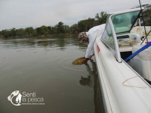 161018 BAJO LA LLUVIA EN BELLA VISTA10