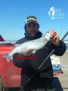 161021 PIQUE EN LA BALIZA
