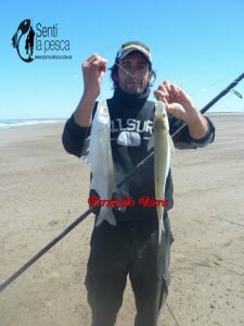161021 PIQUE EN LA BALIZA3