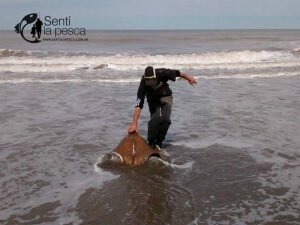 161024 BUENA VARIADA EN SAN BLAS4