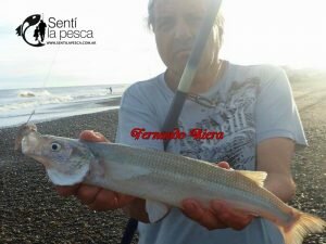 161024 BUENA VARIADA EN SAN BLAS8