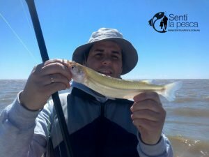 161024 PEJES EN EL RIOPLA5