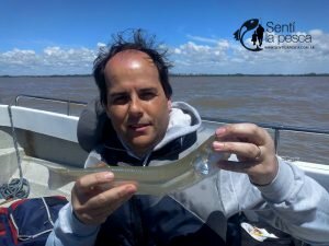 161024 PEJES EN EL RIOPLA7