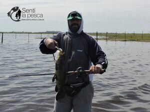 161024 TARUS EN VENADO TUERTO12