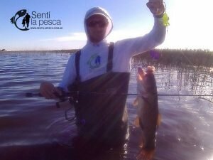 161031 PESCA EN ELOTORNO1