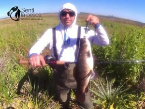 161031 PESCA EN ELOTORNO2