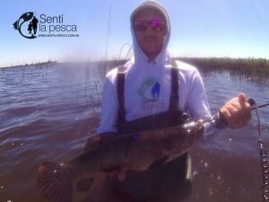 161031 PESCA EN ELOTORNO3