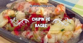 CHUPIN DE BAGRE SENTILAPESCA
