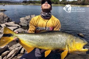DORADO EN CRUZ DEL EJE